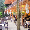 Restaurants: image cmaroi_id163_Comedara_pic4.jpg 0f 6 thumb