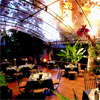 Restaurants: image cmaroi_id47_Micasa_pic3.jpg 0f 6 thumb