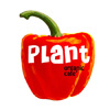 Restaurants: image cmaroi_id68_PlantOrganicCafe’_pic1.jpg 0f 6 thumb