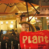 Restaurants: image cmaroi_id68_PlantOrganicCafe’_pic3.jpg 0f 6 thumb